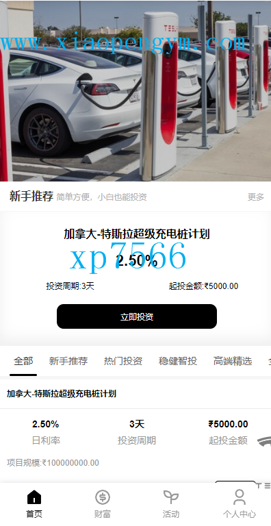 前端UI全新定制，特斯拉产品类型