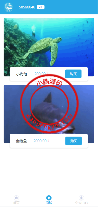 22013862752a425b5f5MB9rB9.png