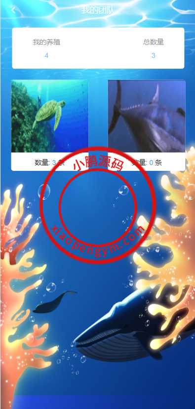 22013962752a437e06boX1dWh.png